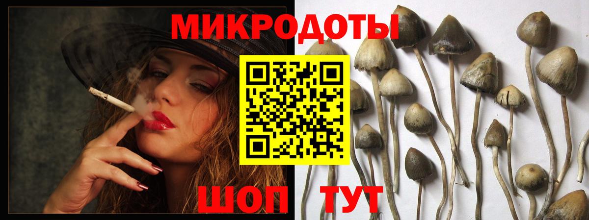 Янаул  Галлюциногенные грибы Magic Shrooms  Вход с VPN  Псилоцибиновые грибы прущие грибы 